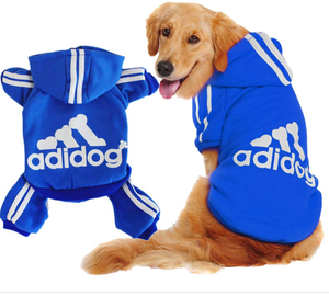 lot 3441 image: Adidog Hoodie Blue size small