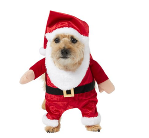 lot 3527 image: Dog Santa suit size medium looks small varies slightly from stock photo