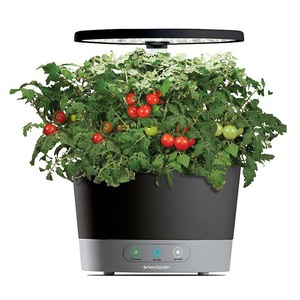 lot 2734 image: AeroGarden - Harvest 360 6-Pod with Gourmet Herb Seed Pod Kit - Black - Retail $78.71