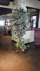 lot 30098 image: 6.5ft Faux Tree