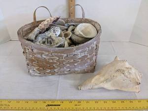 lot 444 image: Wicker basket wvarious sea shells