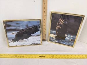 lot 618 image: (2) Flying eagles wall art