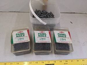 lot 660 image: 1 panel nails & constitution nails