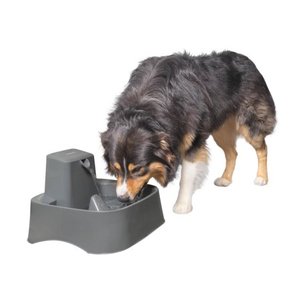 lot 4620 image: PetSafe Drinkwell 2 Gallon Dog and Cat Water Fountain, Best for Large Dog Breeds and Multiple Pet Households, Easy-to-Clean Design, Filter Included