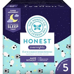 lot 4636 image: The Honest Company Overnight Diapers, Size 5 in Purple at Nordstrom