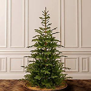 lot 6738 image: National Tree 7 .5 Feel Real Norwegian Spruce Hinged Tree