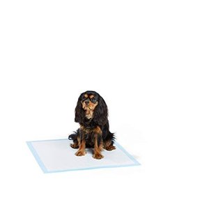 lot 1524 image: Basics Potty Training Pads (80 PACK)