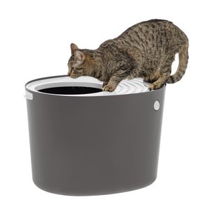 lot 7366 image: Iris Top Entry Cat Litter Box, Dark GrayWhite