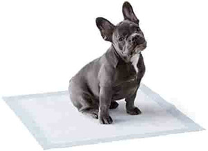lot 7498 image: Amazon Basics Dog and Puppy Pads, Leak-proof 5-Layer Pee Pads with Quick-dry Surface for Potty Training