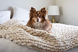 lot 8515 image: MONKSIE Luxury Chunky Knit Blanket with Plush Chenille Knitted Fabric, 47 x 59, Soft and Warm Decorative Throw for Living Room, Bedroom, and Home Decor (Oatmeal Light Beige, Off-White)