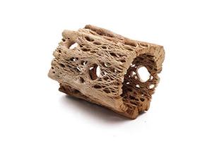 lot 8561 image: 3 Inch All Natural Teddy Bear Cholla Wood Extra Hollow Untreated Organic Aquarium Driftwood Decoration Chew Toy Shrimp Crab Pleco Cichlid Nano Tank Birds 1 or 5 Pieces (1 Piece, 3 inch)