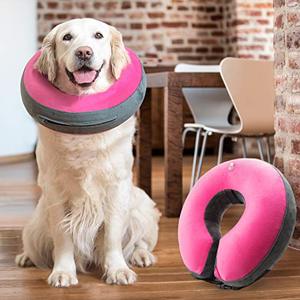 lot 8568 image: GoodBoy Comfortable Recovery E-Collar for Dogs and Cats �� Soft Inflatable Donut Collar Designed for Protecting Small Medium or Large Pets Post Surgery or Wounds (Pink, Size 2)