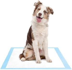 lot 4592 image: Brand - Solimo Super Absorbent Puppy Pads Unscented X-large 50 Count