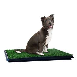 lot 2547 image: PETMAKER Puppy Potty Trainer - The Indoor Restroom for Pets 20 x 25 in