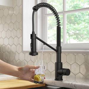 lot 2306 image: KRAUS Bolden 2-in-1 Pull-Down Single Handle Water Filter Kitchen Faucet