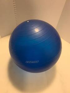 lot 2015 image: Reebok exercise ball