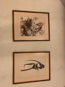lot 2019 image: Set of two framed prints