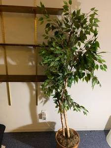 lot 2068 image: 6 foot artificial tree