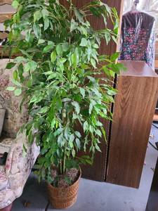 lot 3046 image: Artificial 5ft. tree