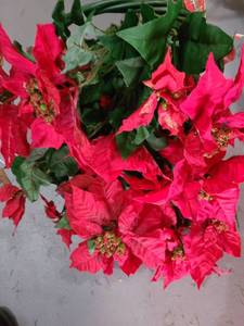 lot 3086 image: Christmas Decor. Poinsettia (faux), and basket with pinecones