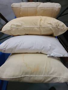 lot 3092 image: Pillows for dogs