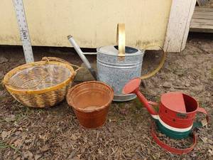 lot 4105 image: Watering cans with planters