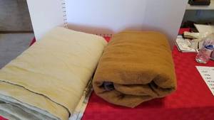 lot 1545 image: Brown electric blanket (works) and blanket
