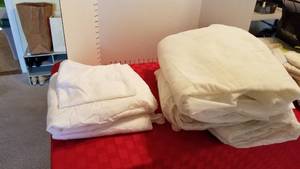 lot 1551 image: Twin sheets full set and 2 mattress pads