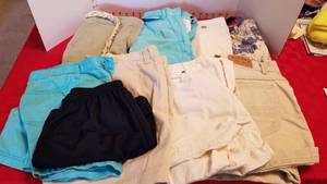 lot 1566 image: Ladies shorts Liz Clayborn, Tommy Hilfiger, Sonoma and more size 6 and 8