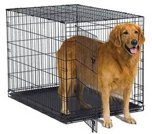 lot 42247 image: New World Pet Products Folding Metal Dog Crate Single Door & Double Door Dog Crates