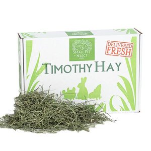 lot 42254 image: Small Pet Select 2nd Cutting Timothy Hay Pet Food, 10-Pound