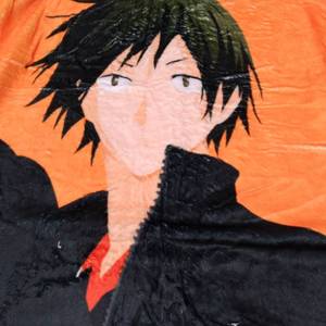 lot 8405 image: 60x80 LARGE ANIME BLANKET SOFT
