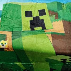 lot 8406 image: SMALL ROBLOX THROW BLANKET
