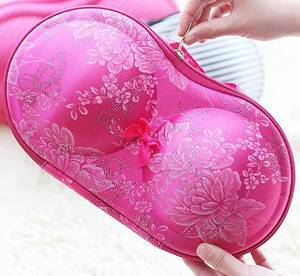 lot 8472 image: Portable zipper storage bag for bra and underwea