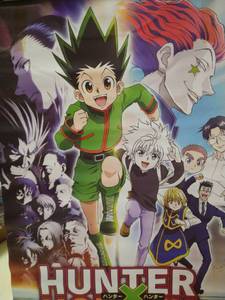 lot 1253 image: Trends International Hunter X Hunter - Map Magnetic Framed Wall Poster Prints