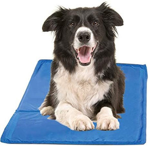 lot 8504 image: Cooling gel for pets Hugs Pet Products chillz Pad comfort