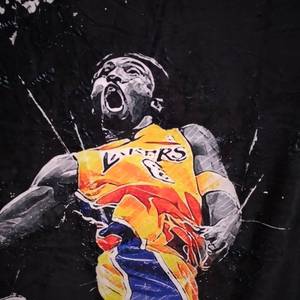 lot 8521 image: LAKERS BLANKET 60x50 inches