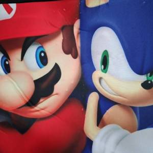 lot 8544 image: Sonic Padded Case Laptop Tablet Sleeve 13 inch