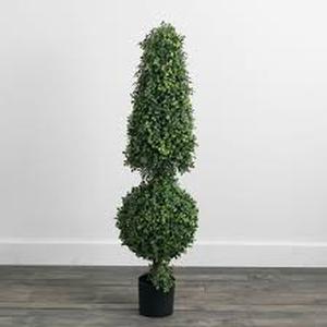 lot 2841 image: Faux Box Wood Plant
