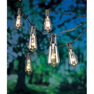 lot 4731 image: Edison Lights