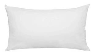 lot 4783 image: Small Down Pillow