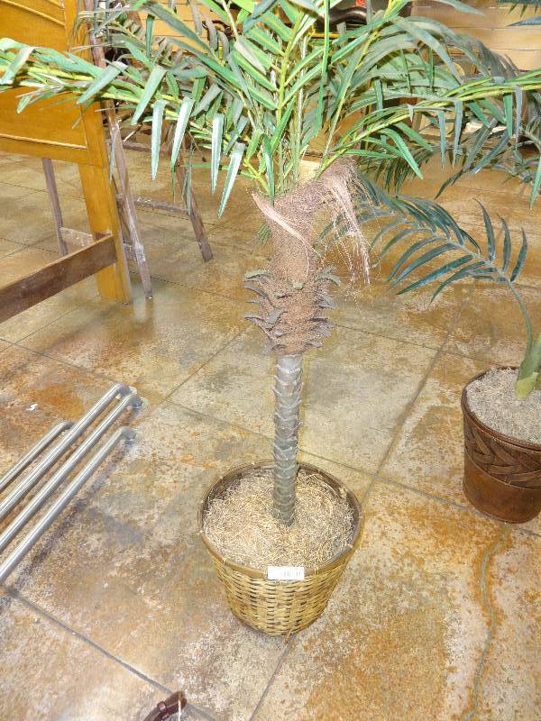lot 2190 image: Another Plastic Palm Tree, you cant kill these....
