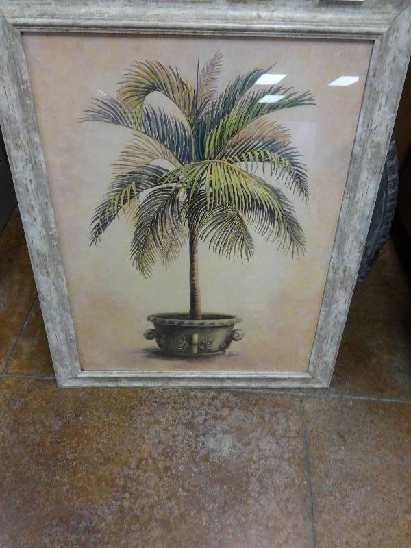 lot 2213 image: Large Picture of a palm tree