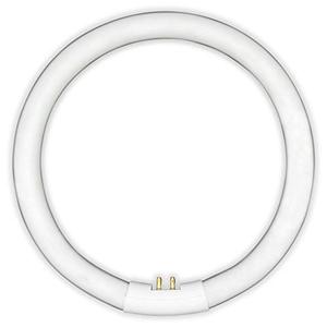 lot 9083 image: 22W T5 Circular Fluorescent Bulb Replacement for Floxite T5 22W Circular Mirror Light Bulb by Technical Precision - 4-Pin Connector Base Circline Fluorescent Bulb - 6500K - 7.25 Inch Outside Diameter
