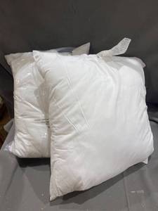lot 22846 image: 22�� Pillow Inserts