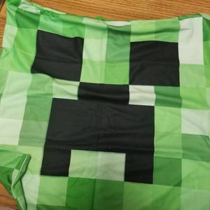 lot 6815 image: Minecraft Decorative pillow cover creeper guy hidden zipper