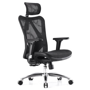 lot 7216 image: SIHOO High-Back Ergonomic Office Chair