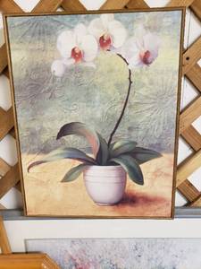 lot 58046 image: Flowers in Pot Picture