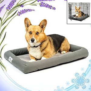 lot 37190 image: hoPetFusion Lavender-Infused Dog Bed w Cooling  Solid Certi-PUR-US Orthopedic Memory Foam  Anti-Anxiety Crate Mat Calming & Soothing  All-Season Temperature Control Cooling Mat  1 Year Warr.