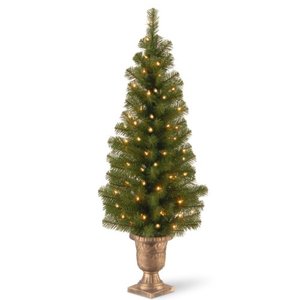 lot 37199 image: National Tree Company Pre-lit Artificial Tree For Entrances and Christmas Includes Pre-strung White Lights  Montclair Spruce - 4 ft, BlackGold